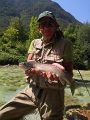 Upper Soca rainbow trout